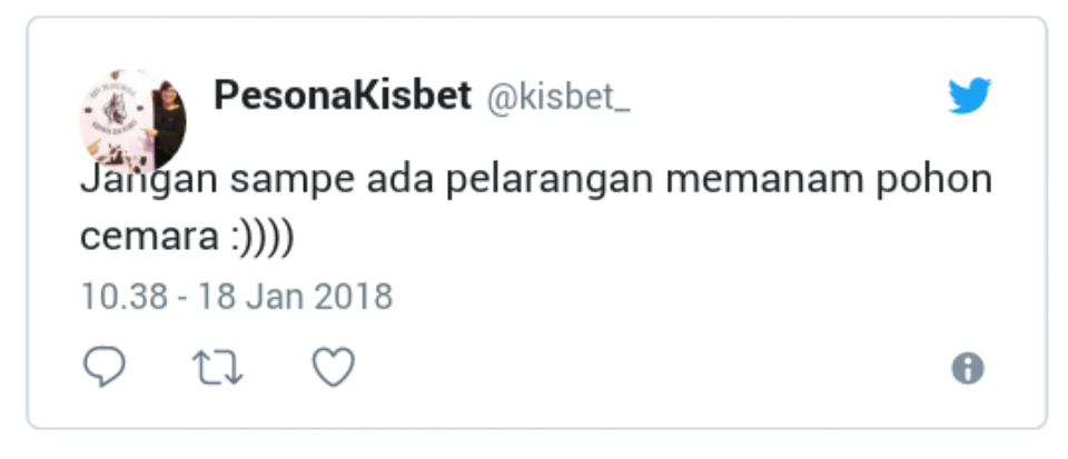 Penebangan Pohon Cemara di Depan Masjid Agung Meulaboh, Karena 'Ketakutan'?