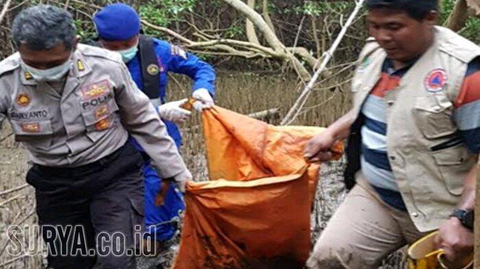 Jasad Perempuan Tersangkut di Pohon Mangrove, Kepala dan Tangan Kirinya Hilang