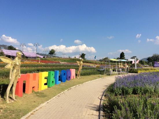 The Bloom, Sisi Lain Thailand yang Cantik di Khao Yai