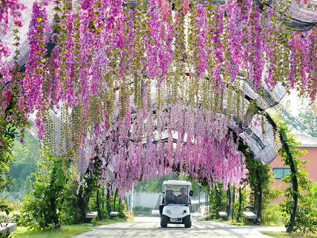 The Bloom, Sisi Lain Thailand yang Cantik di Khao Yai