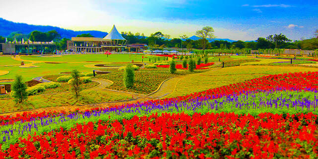 The Bloom, Sisi Lain Thailand yang Cantik di Khao Yai
