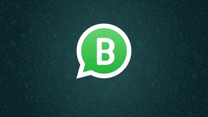 WhatsAppan yuk dengan Bussines gan