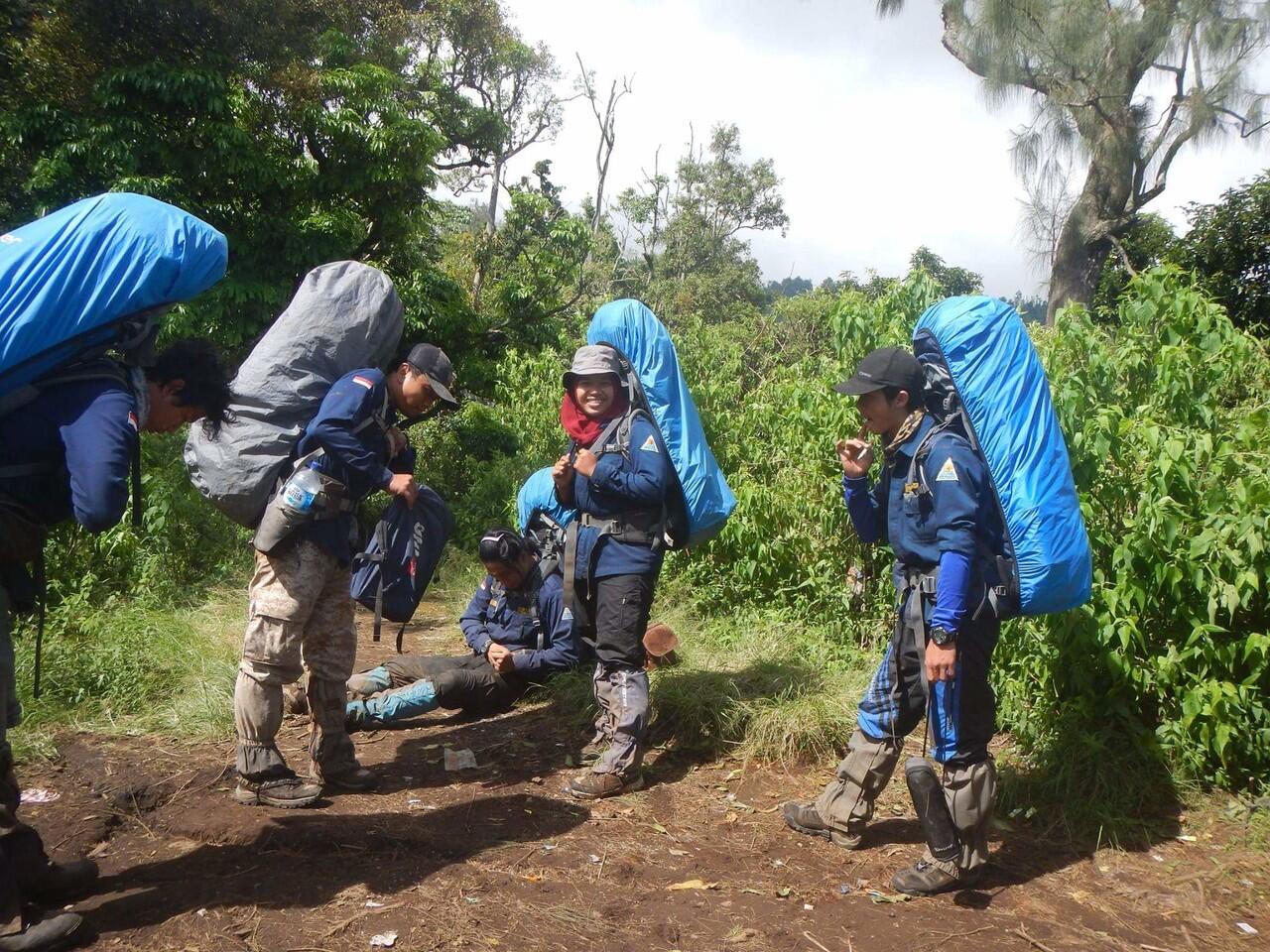 PELACUR ARGOPURO