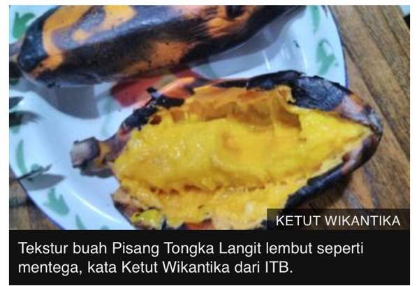 Inikah pisang 'tersehat' dan misterius di Indonesia?