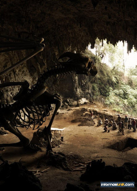 WAW !!! 10 Temuan Tengkorak yang menakjubkan dunia