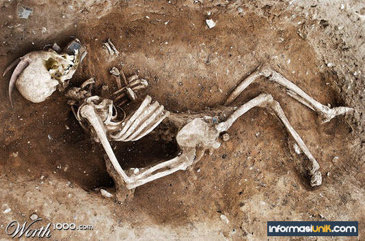 WAW !!! 10 Temuan Tengkorak yang menakjubkan dunia