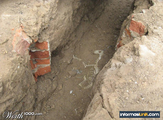 WAW !!! 10 Temuan Tengkorak yang menakjubkan dunia