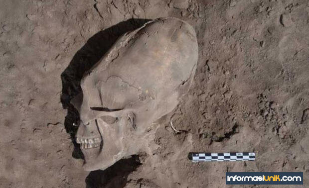 WAW !!! 10 Temuan Tengkorak yang menakjubkan dunia