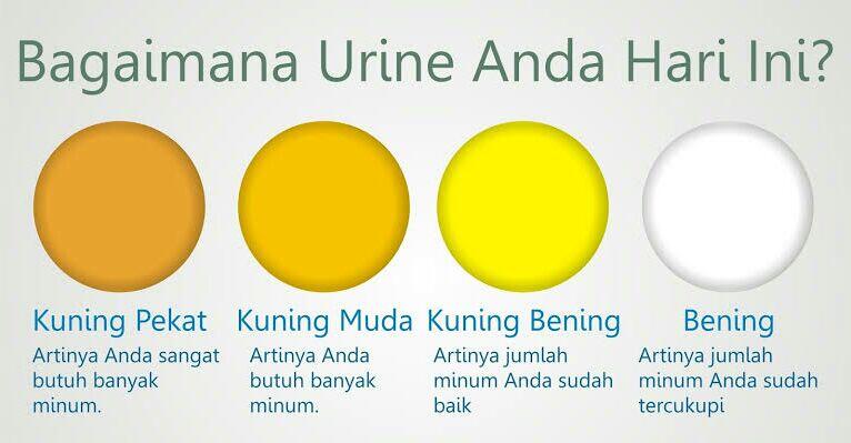 Kencing Anda Bau Menyengat, Bisa Jadi Pertanda Penyakit Ini.