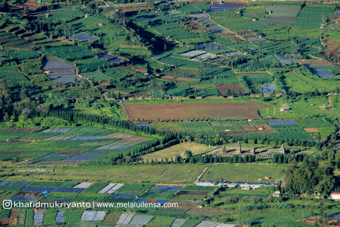telaga warna dieng, destinasi menarik wonosobo