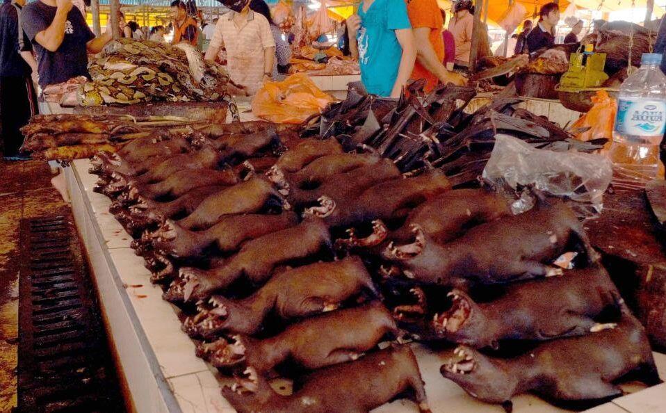 Potret Pemakan Anjing Kucing Di Indonesia
