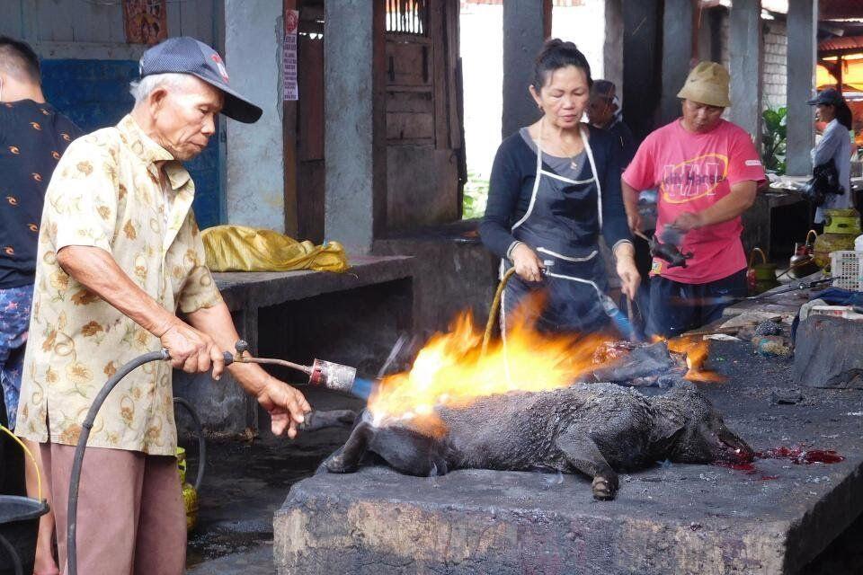 Potret Pemakan Anjing Kucing Di Indonesia