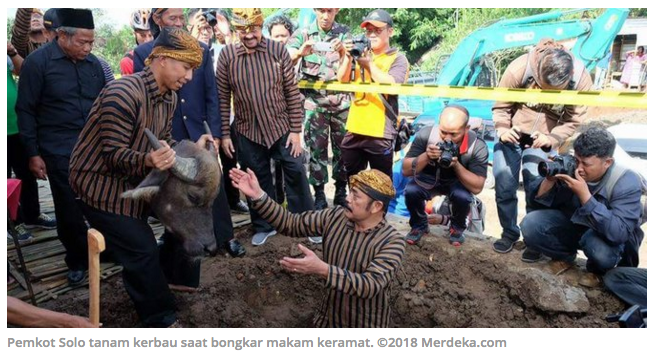 Pindahkan makam keramat, Pemkot Solo tanam kepala kerbau