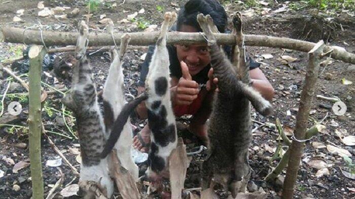 Viral, Sekelompok Pemuda Bantai Kucing Lalu Mau Dibakar Untuk Pesta
