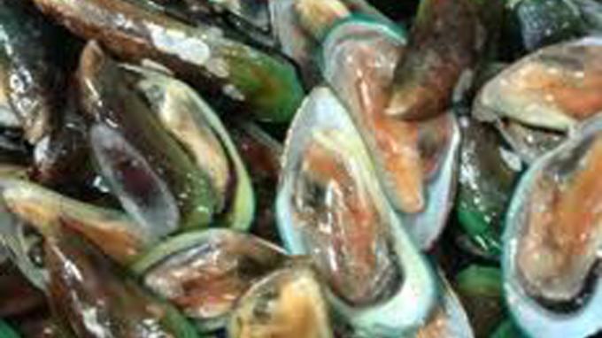 Keracunan Kerang Hijau, 32 Warga Cirebon Dibawa ke Puskesmas