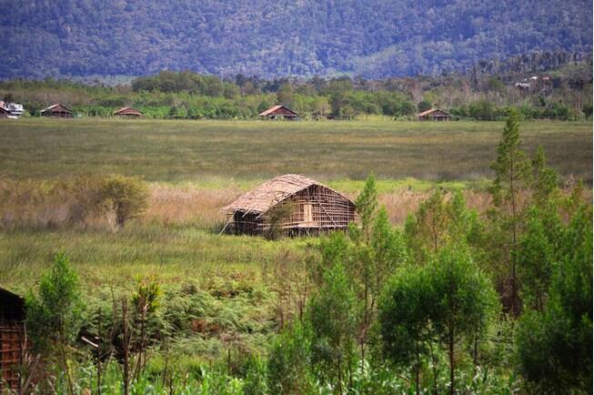 Wisata Arfak, Kesederhanaan dalam Kemewahan wisata Alamnya