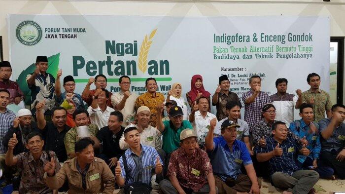 Indigofera dan Alang-Alang di Semarang Akan Diindustrikan