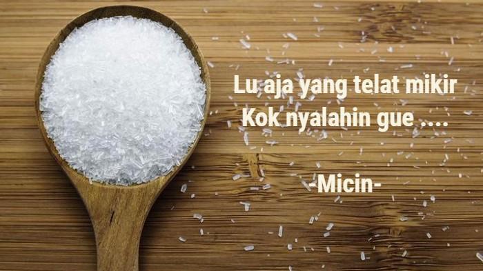 3 Manfaat Micin Buat Kesehatan Anti Bikin Generasi Micin 