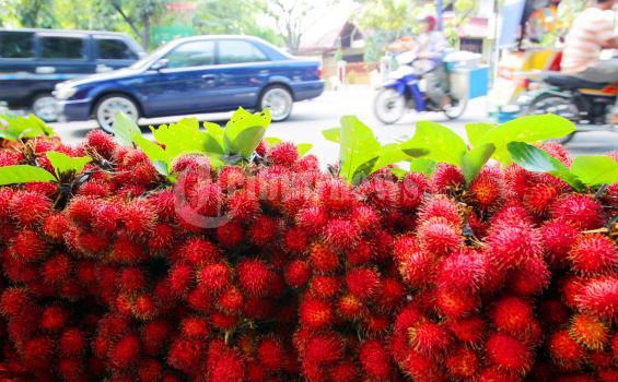 Tersedak Biji Rambutan, Siswa SD Ini Tewas