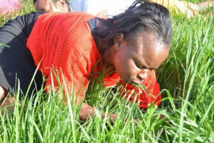 Kisah Pengemis Kelaparan yang Makan Rumput, Pilu-pilu Ngakak 