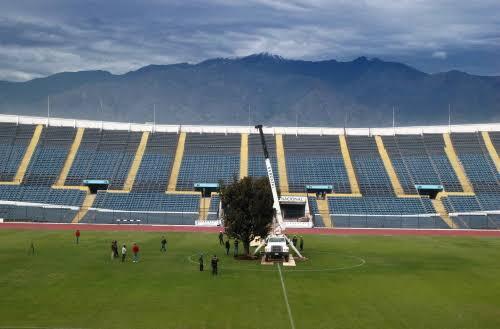 Pohon Di Tengah Stadion Sepak Bola 