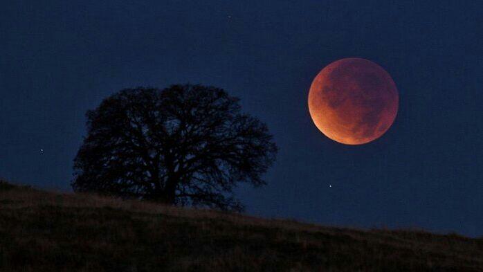 7 Fakta Super Blue Blood Moon, Wajib Tahu Sebelum Memandangi Langit Malam Ini