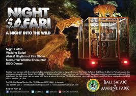 Taman Safari Di Chile Menakutkan...Berani Coba...