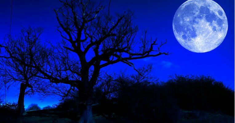 Namanya &quot;Blue Moon&quot; Tapi kok Warnanya Nggak Biru Ya?