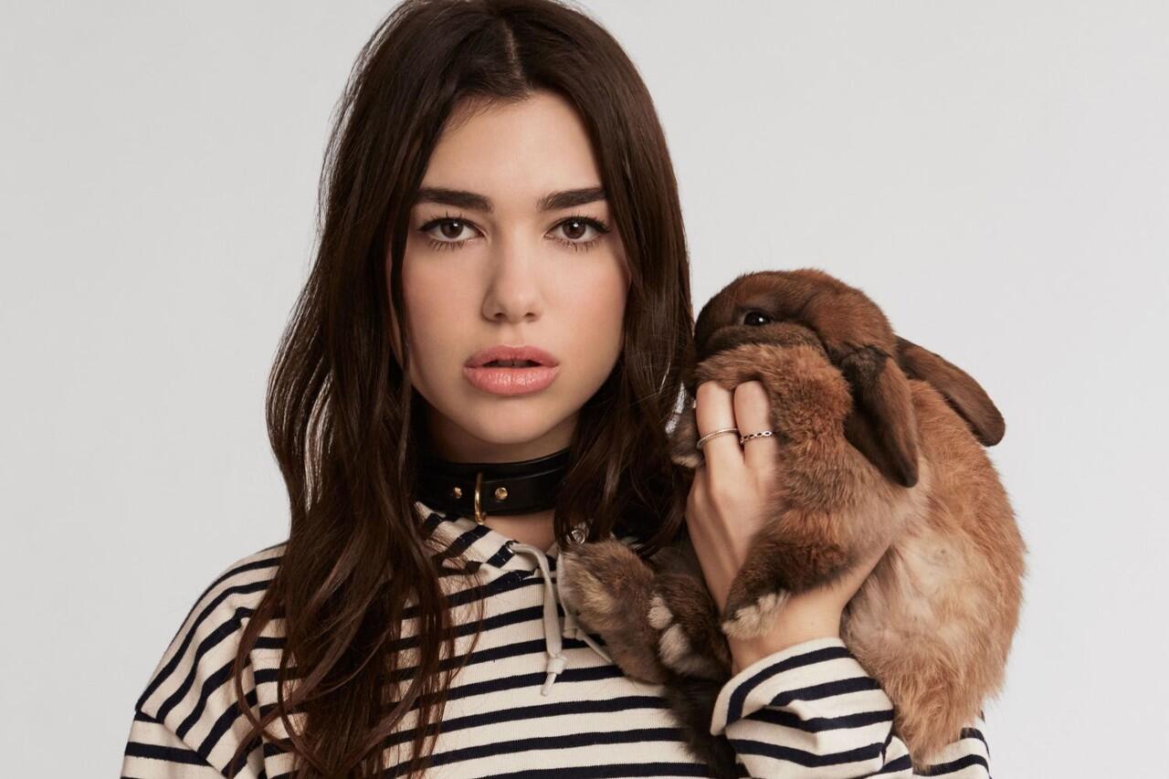 Melanggar New Rules, Dua Lipa Disindir Netizen