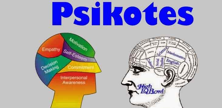 PERAN PSIKOTES DALAM SALAH SATU PERSYARATAN WAWANCARA KERJA