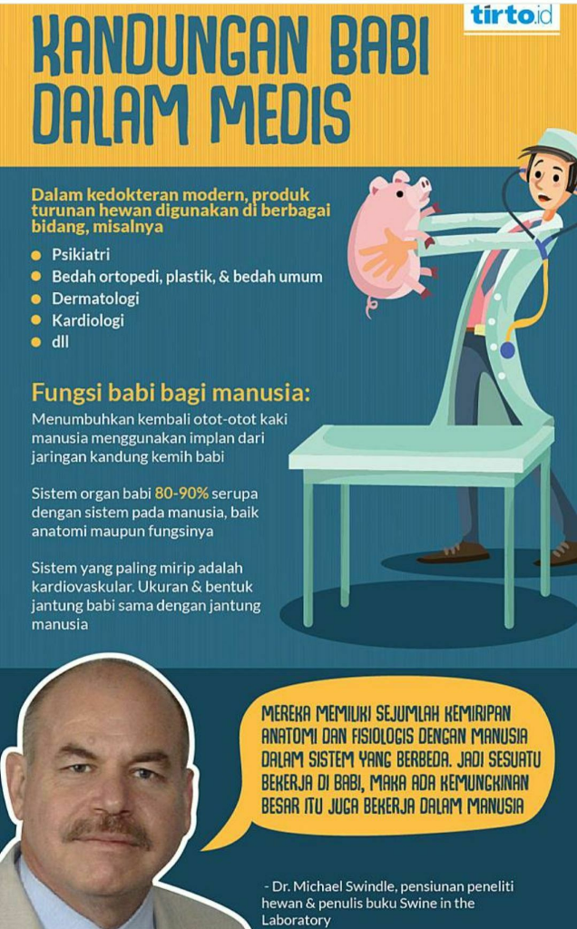 Babi-Babi Di Dunia Kedokteran &amp; Pengobatan