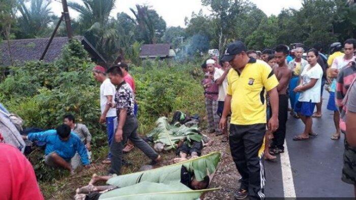 BREAKINGNEWS: Kecelakaan Maut di Jalan Trans Kalimantan, 11 Meninggal, 3 Luka Berat