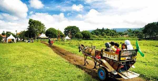 11 Tempat Wisata Outbound Murah Di Bandung