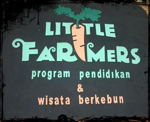 11 Tempat Wisata Outbound Murah Di Bandung 