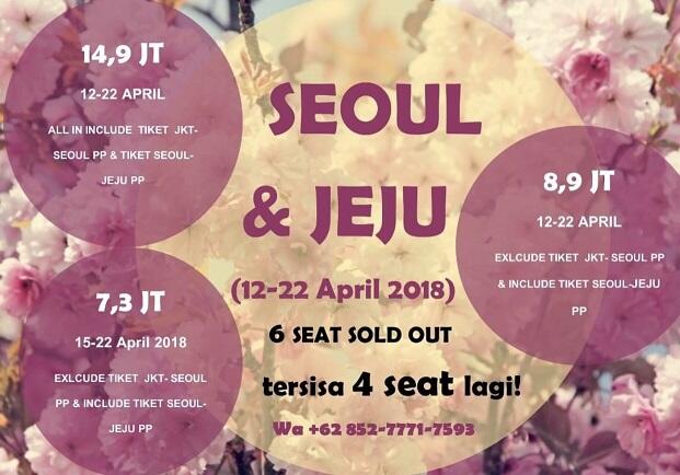 &#91;OPEN TRIP&#93; KOREA - APRIL - CHERRY BLOSSOM