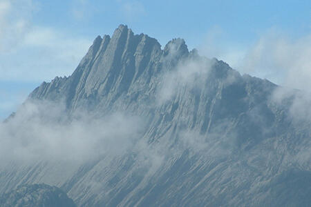 Butuh Kolaborasi Jaga Ekosistem Taman Nasional Lorent