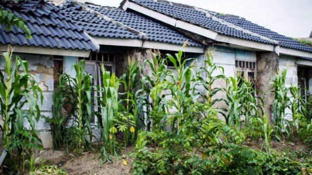 Menteri PUPR: Rumah KPR Banyak yang Belum Layak Huni