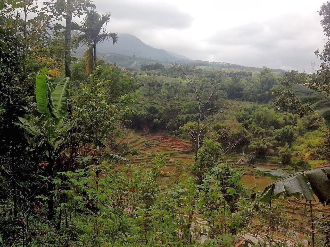 Pemandangan Alam Pegunungan Arjasari