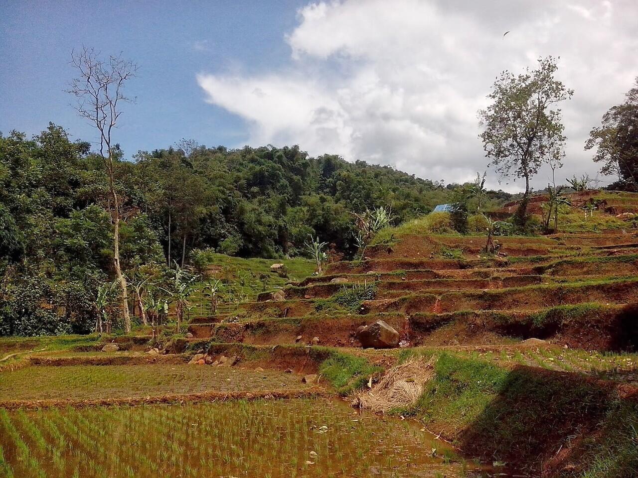Pemandangan Alam Pegunungan Arjasari