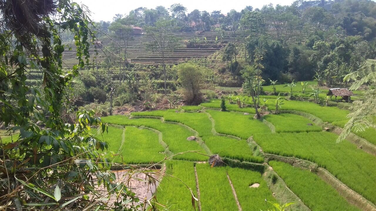 Pemandangan Alam Pegunungan Arjasari