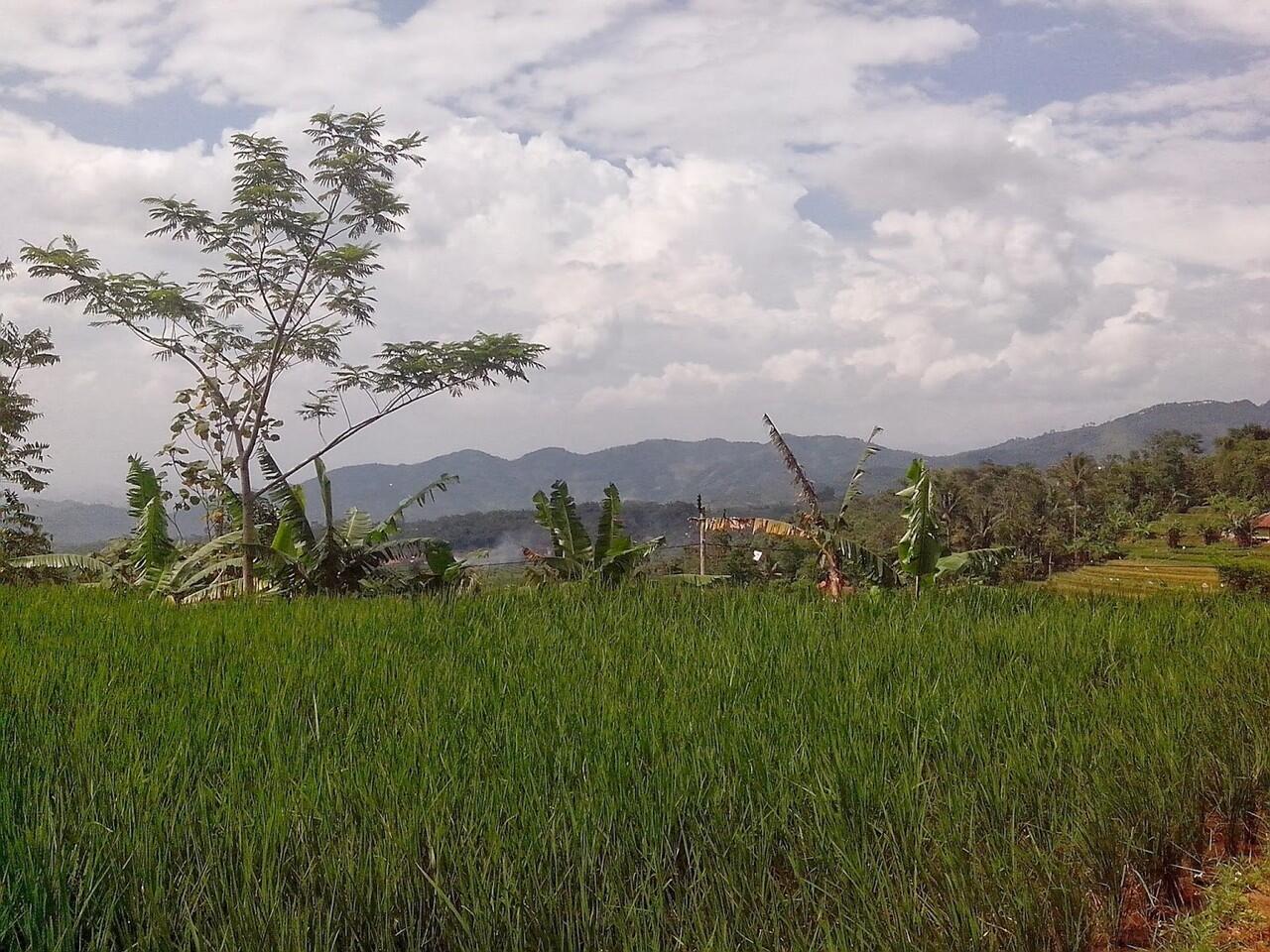 Pemandangan Alam Pegunungan Arjasari
