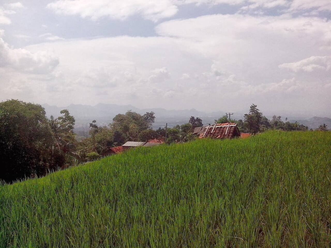 Pemandangan Alam Pegunungan Arjasari