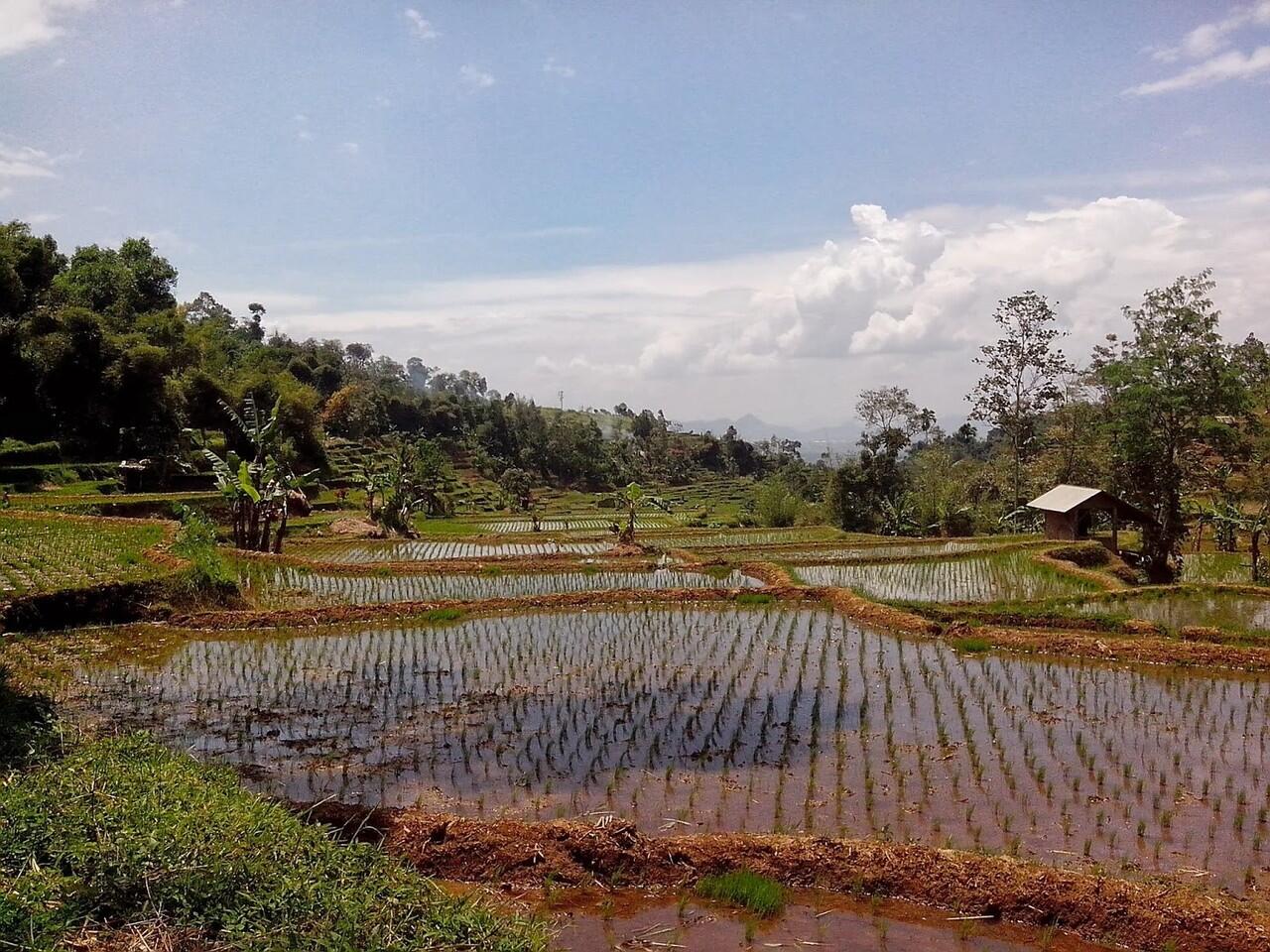 Pemandangan Alam Pegunungan Arjasari
