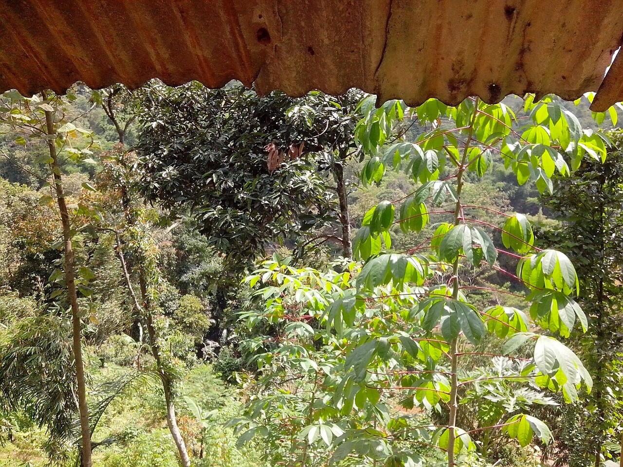 Pemandangan Alam Pegunungan Arjasari
