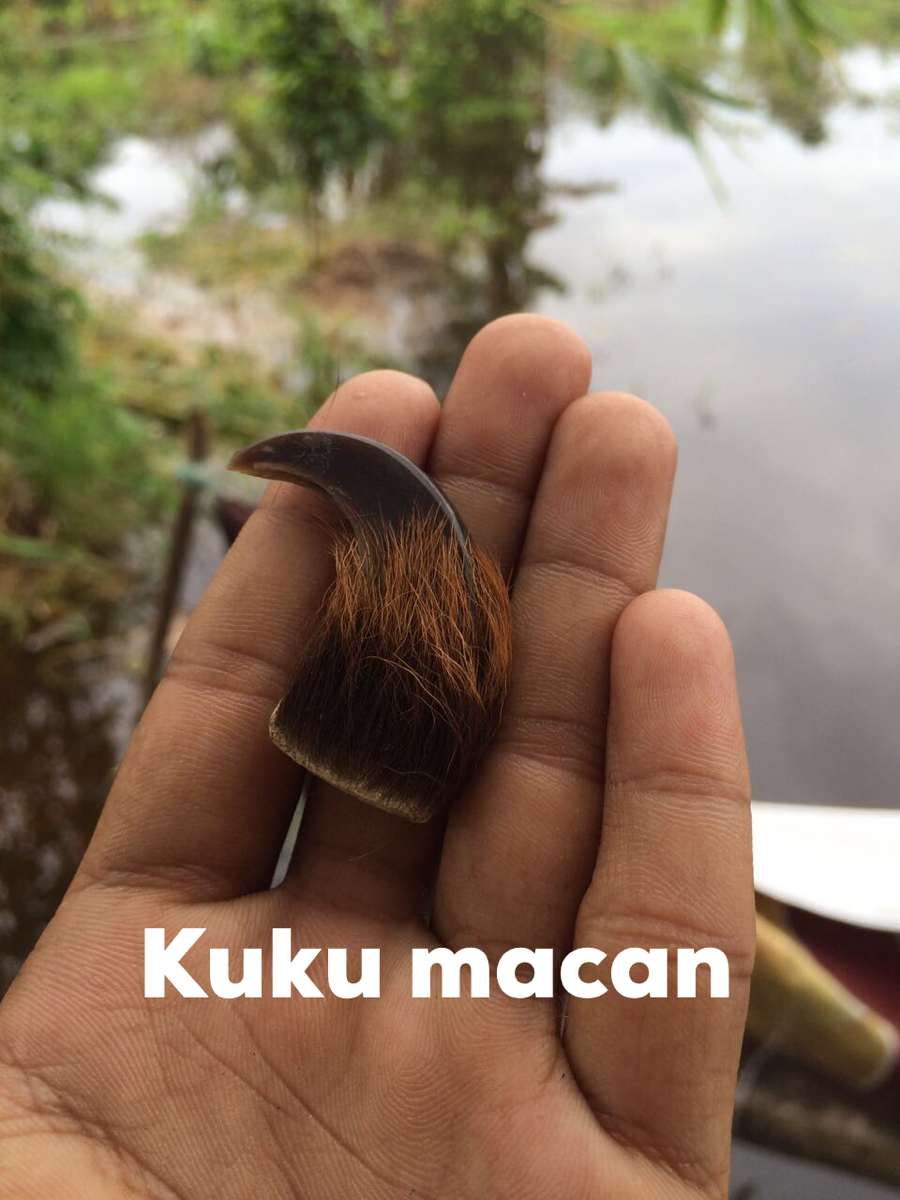 Terjual Kuku Macan | KASKUS