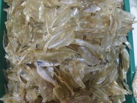 Balasan Dari Empat Jenis Ikan Asin Yang Sangat Dicintai
