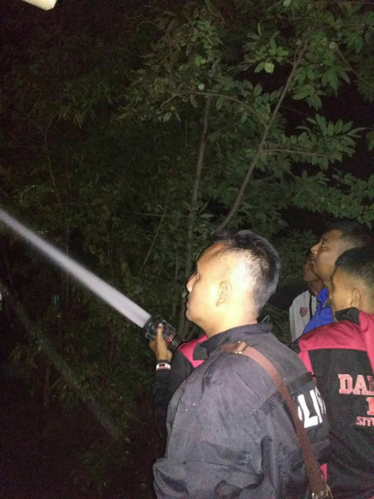 Eksistensi Pemadam Kebakaran Di Pra Kebakaran, Saat Kebakaran Dan Kesiap Siagaan