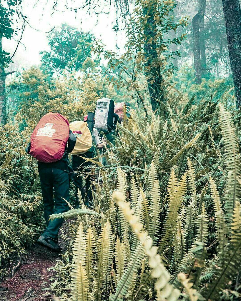 (Lanjutan) Kisah Mereka yang &quot;Disesatkan&quot; - TAMAT