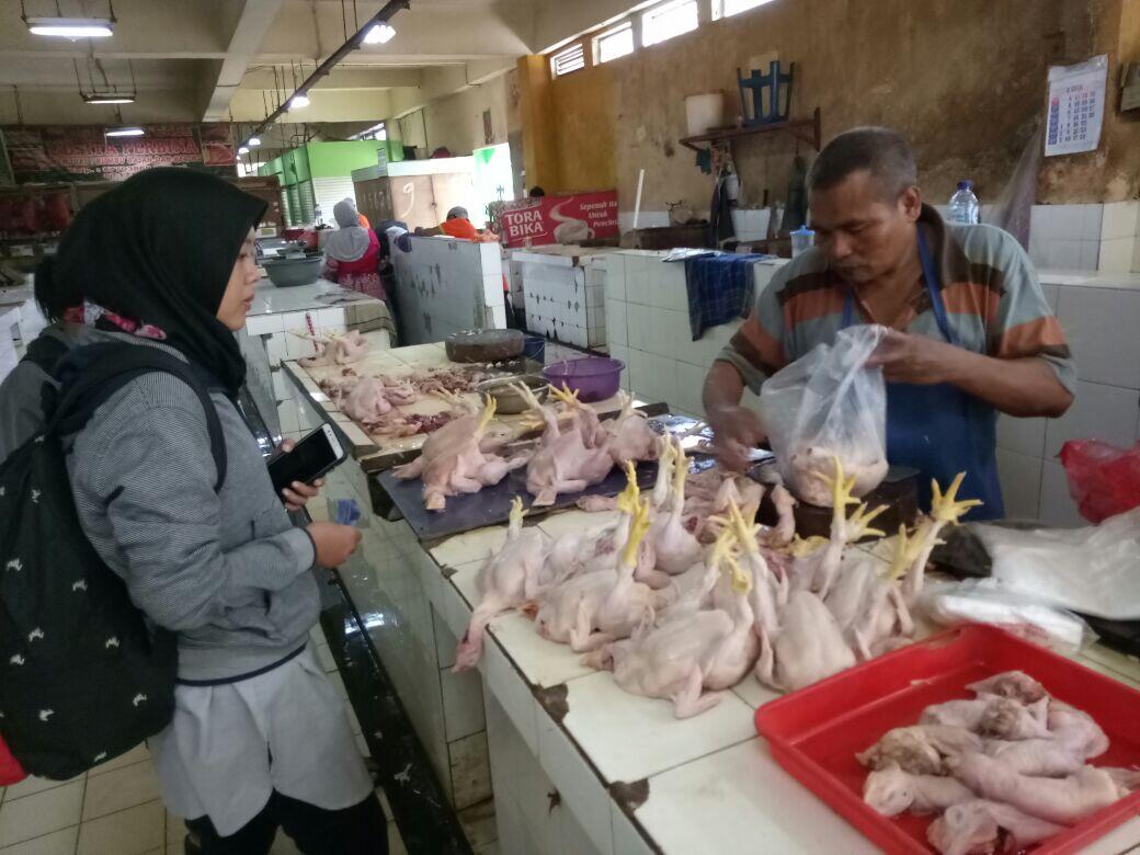 Kementan Mengaku Gagal Paham Harga Daging Ayam Tidak Stabil