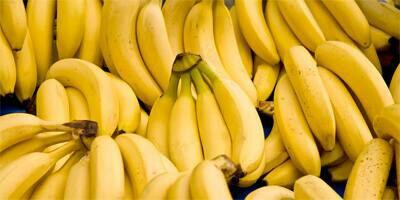 Manfaat Baik Pisang